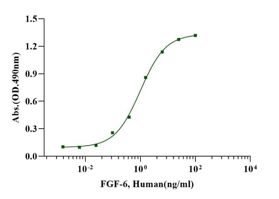 FGF-6 Protein, Human