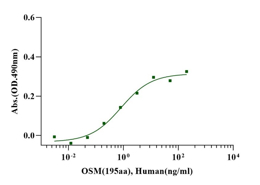 OSM(195aa) Protein, Human