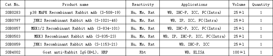 MAPK Family Antibody MiniAb Set