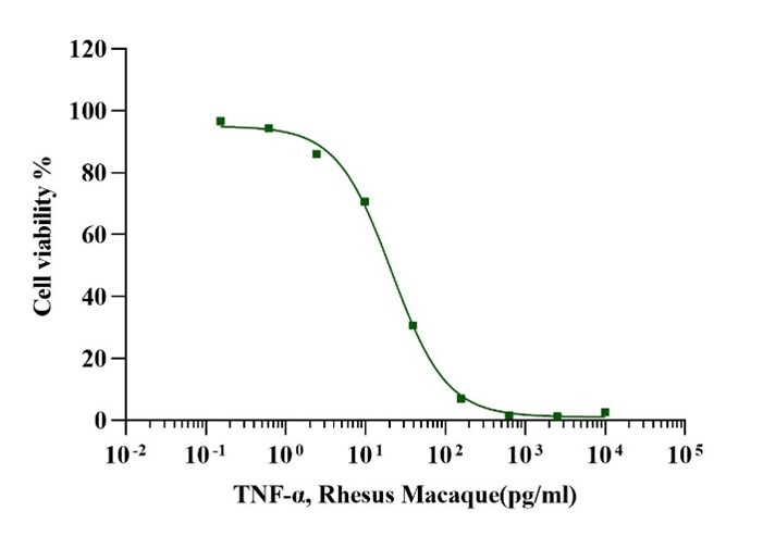 TNF-α Protein, Rhesus Macaque