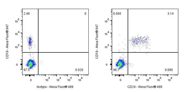 CD24 Recombinant Rabbit mAb (S-974-13)