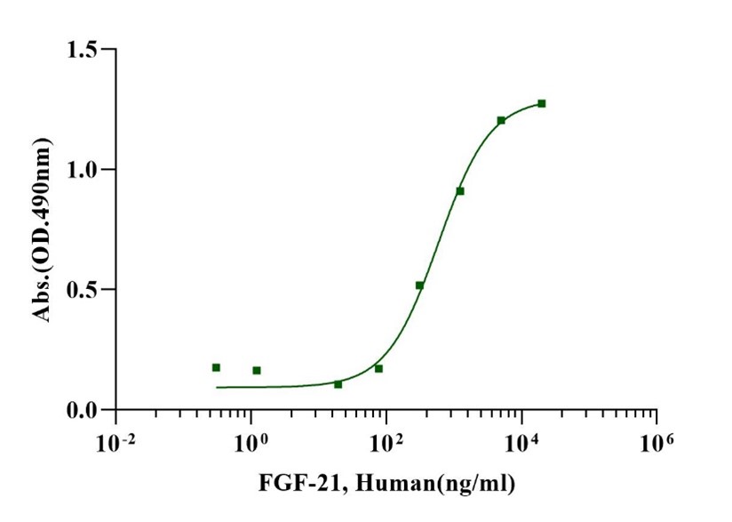 FGF-21 Protein, Human