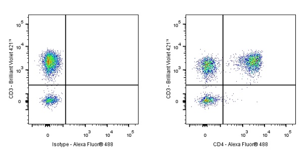 CD4 Chimeric Recombinant Rabbit mAb (13B8.2)