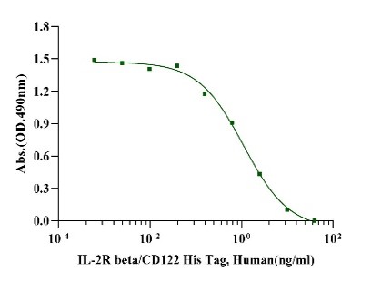 IL-2R beta/CD122 His Tag Protein, Human