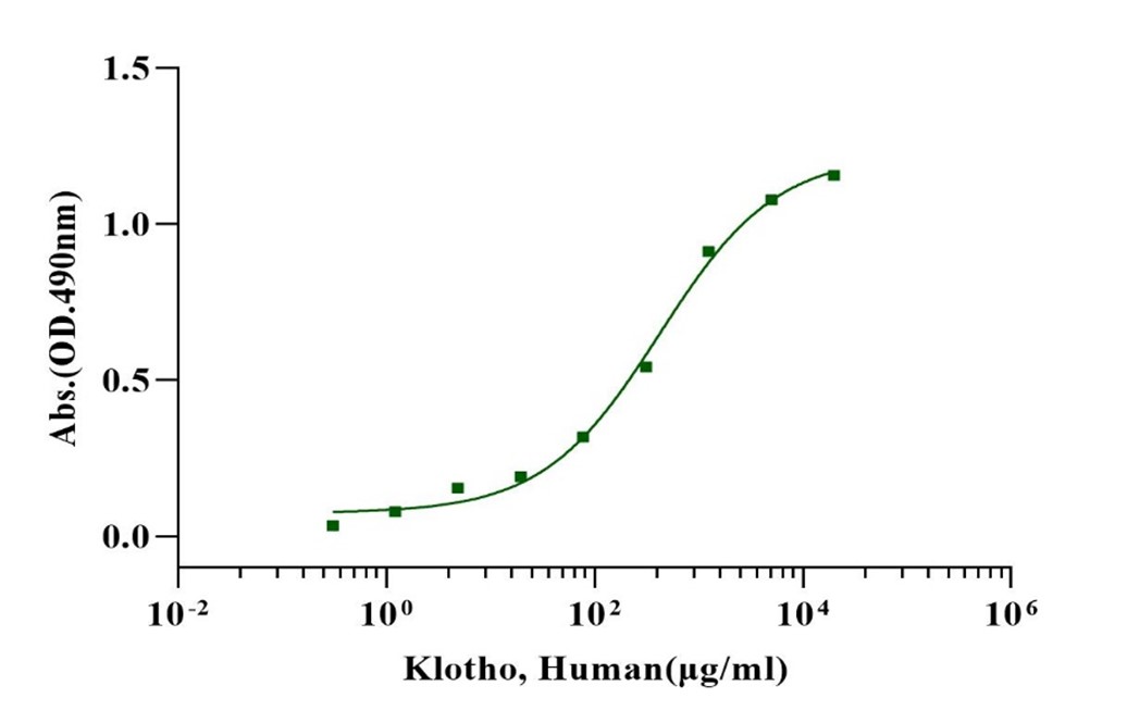 Klotho Protein, Human
