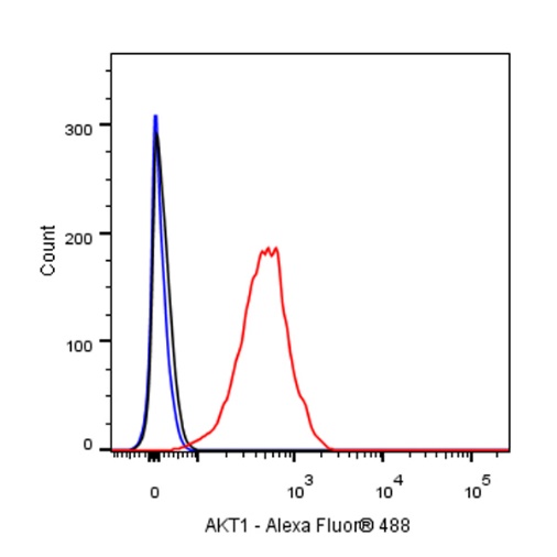 AKT1 Recombinant Rabbit mAb (S-R364)