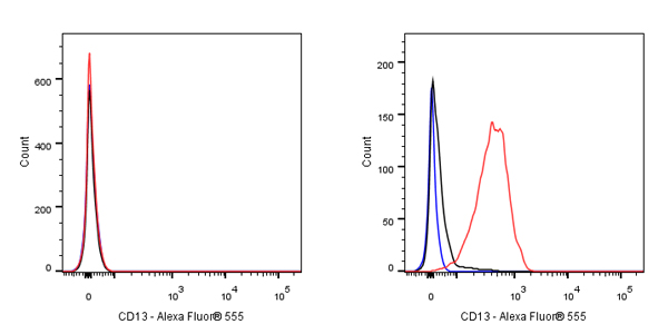 Alexa Fluor® 555 Mouse Anti-Human CD13 Antibody (S-689-37)