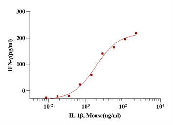 IL-1β Protein, Mouse