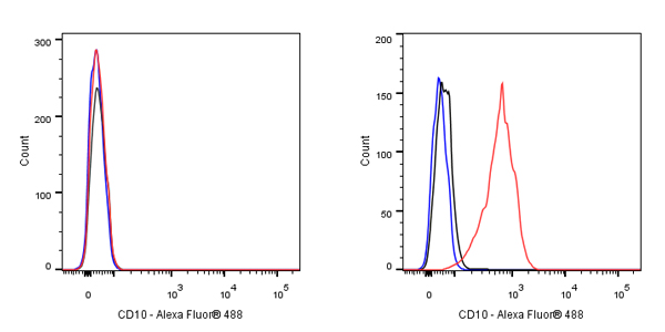 CD10 Mouse mAb (S-713-5)