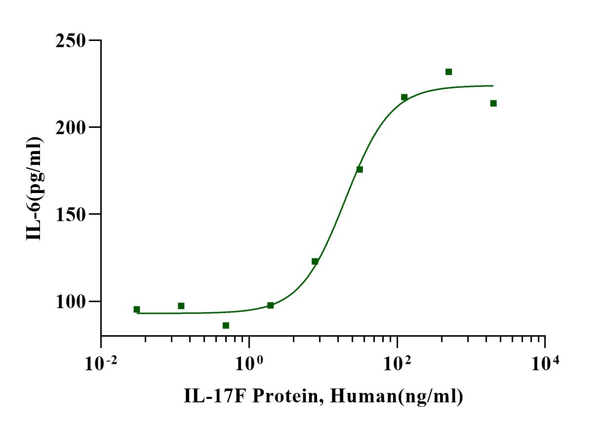 IL-17F Protein, Human