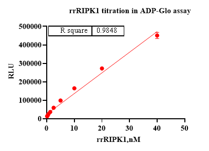 RIPK1 Protein