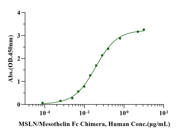 MSLN/Mesothelin Fc Chimera Protein, Human