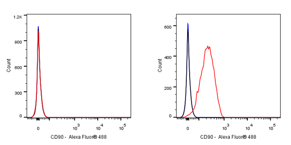 CD90 Mouse mAb (S-922-13)