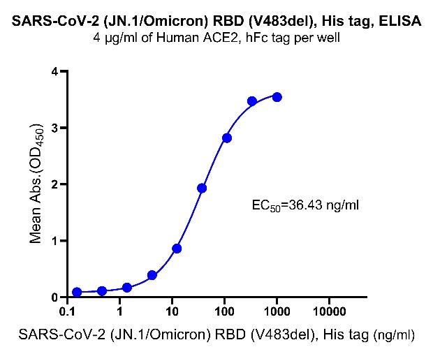 SARS-CoV-2 (JN.1/Omicron) RBD (V483del), His tag