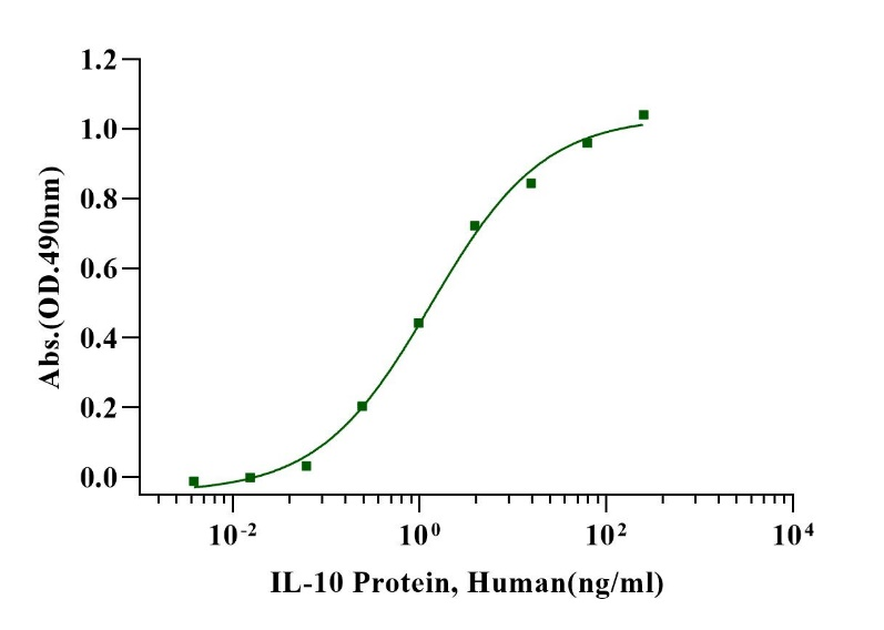 IL-10 Protein, Human