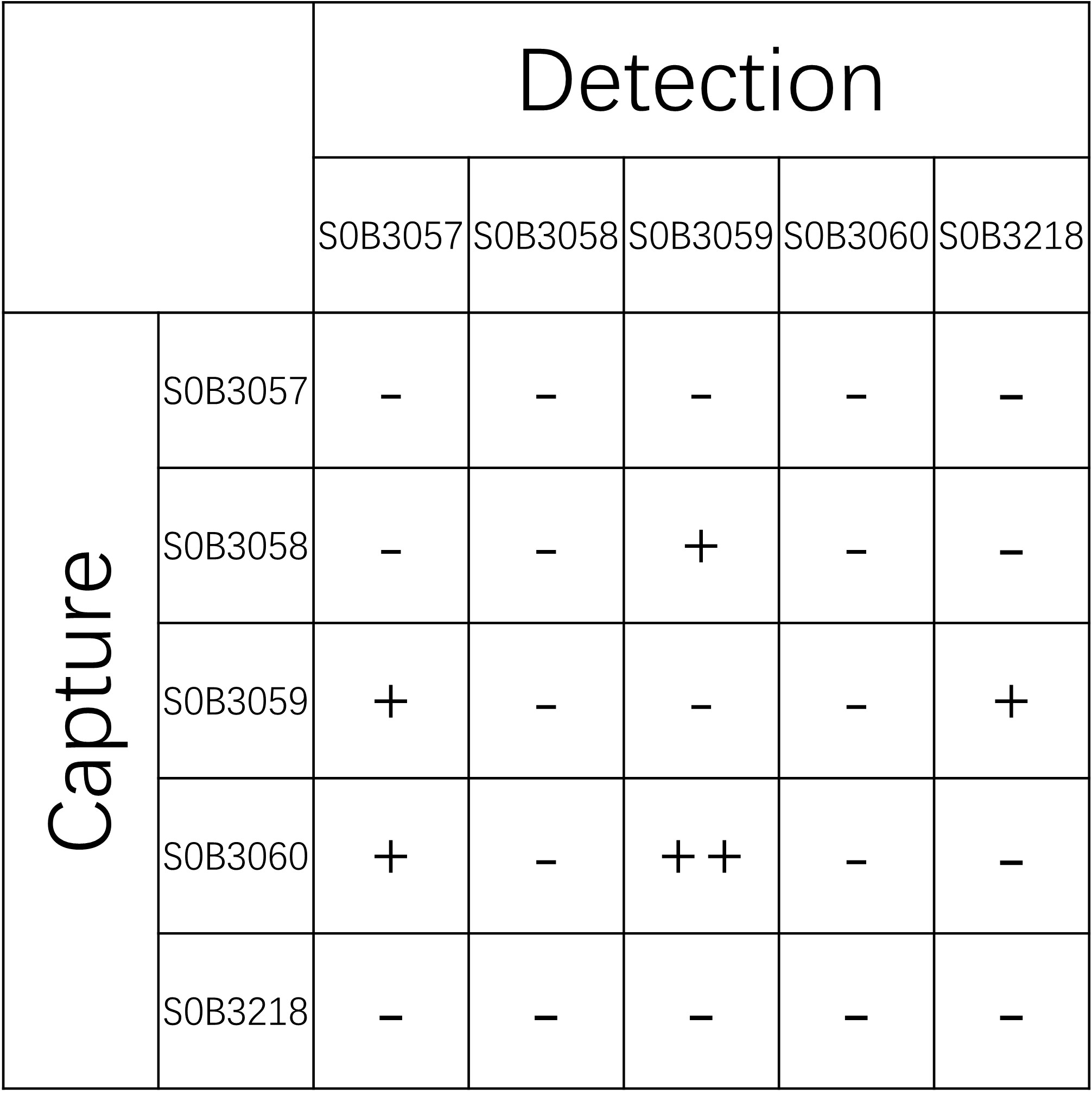 Tau Recombinant Rabbit mAb (SDT-171-45)