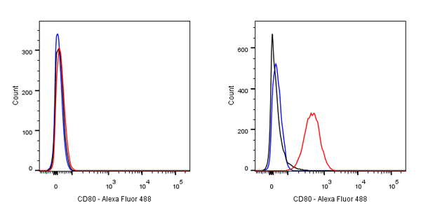 CD80 Recombinant Rabbit mAb (S-288-177)