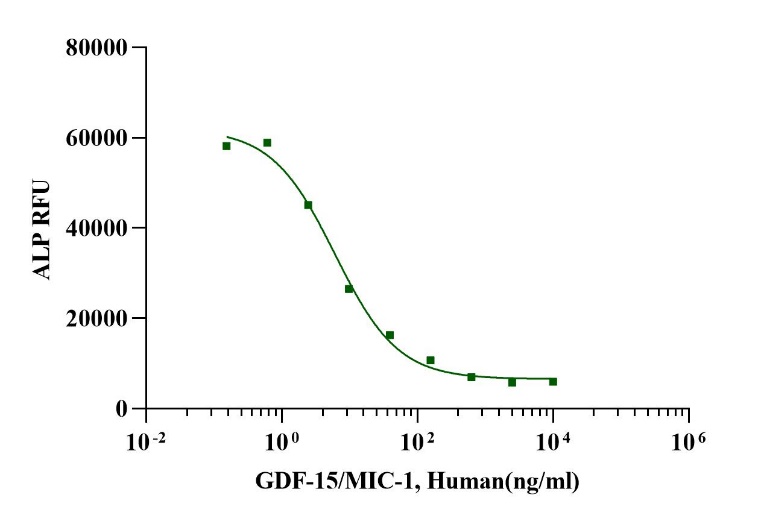 GDF-15/MIC-1 Protein, Human