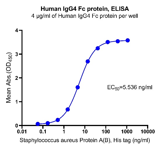 Human IgG4 Fc protein