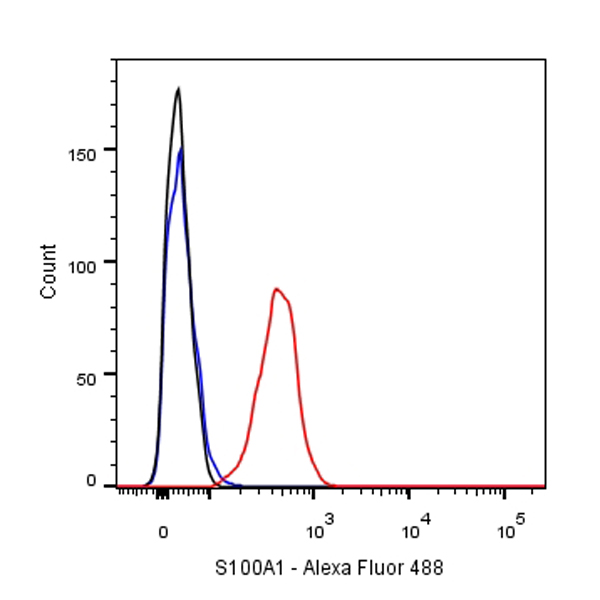 S100A1 Recombinant Rabbit  mAb (SDT-071-16)