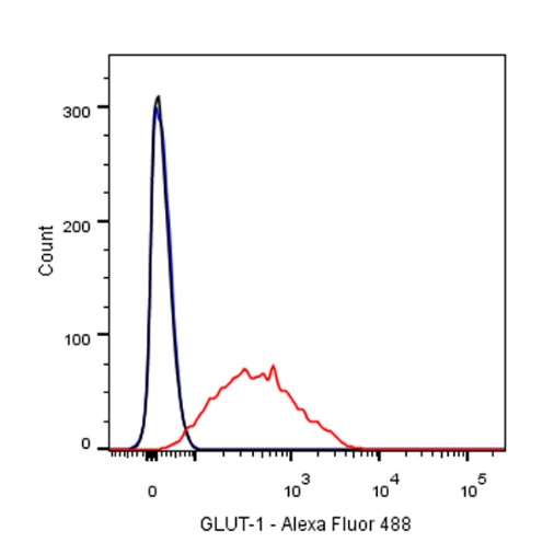 GLUT-1 Recombinant Rabbit mAb (Alexa Fluor® 488 Conjugate) (SDT-047-53)