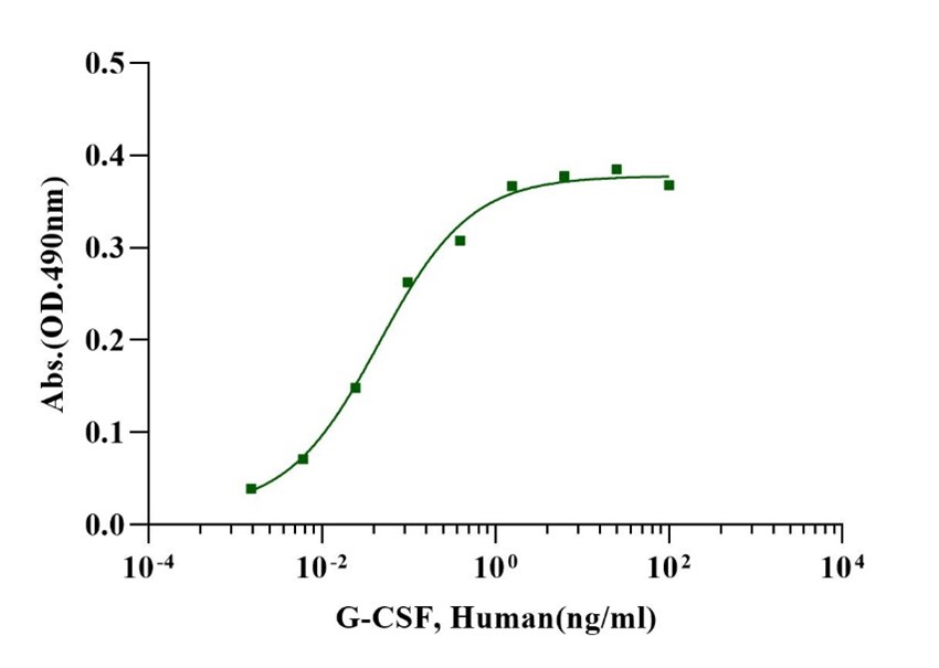 G-CSF Protein, Human