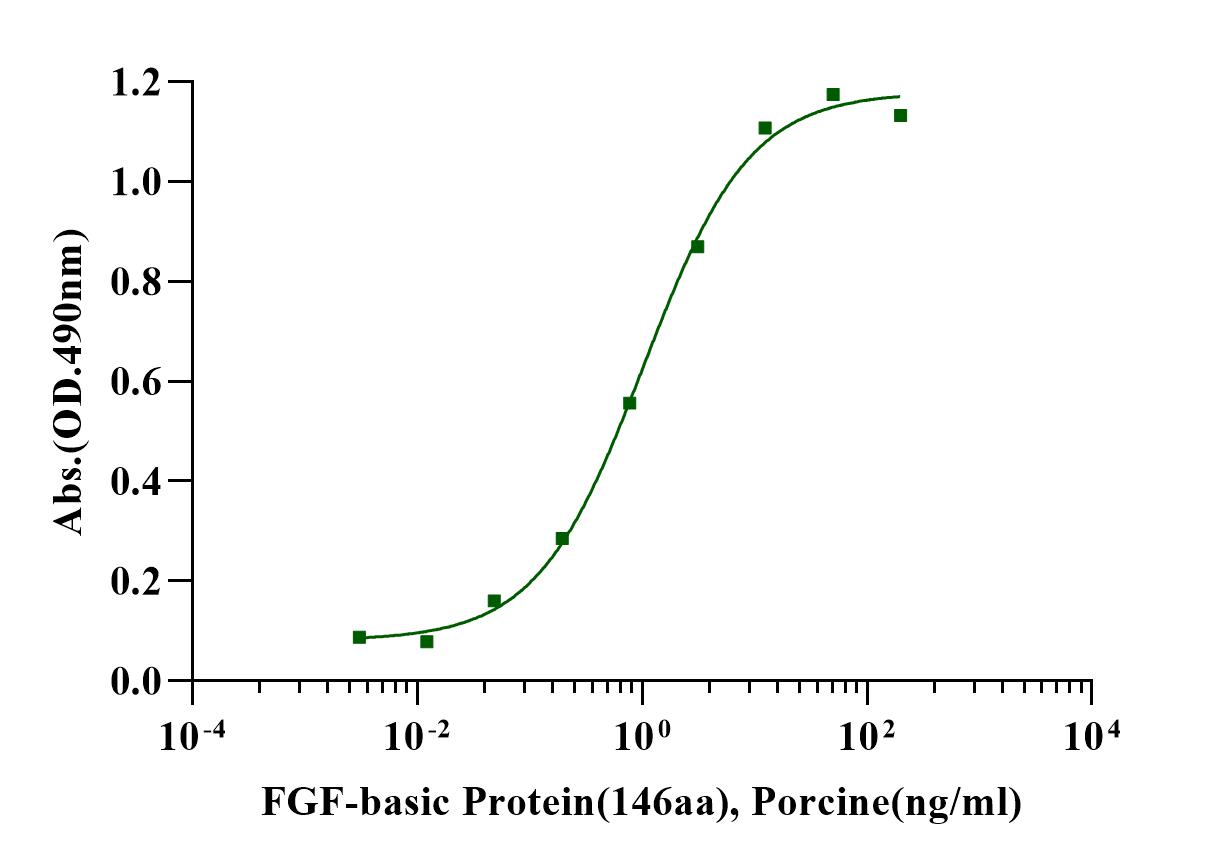 FGF-basic Protein(146aa), Porcine