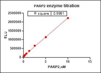 PARP2, GST Tag Protein