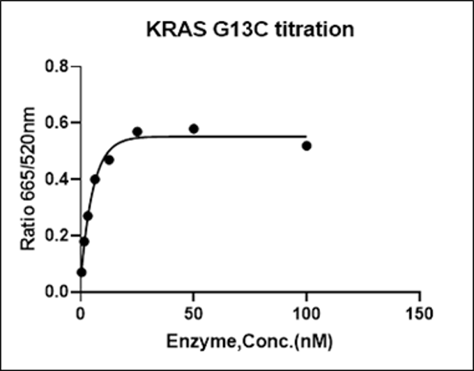 KRAS [G13C] Avi&His Tag Protein