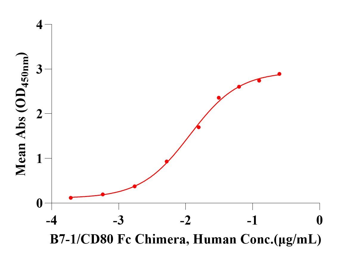 B7-1/CD80 Fc Chimera Protein, Human