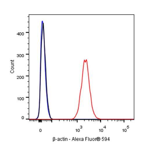 β-actin Recombinant Rabbit mAb (Alexa Fluor® 594 Conjugate) (S-R156)