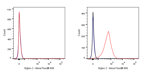 Siglec-2/CD22 Mouse mAb (S-565-1)