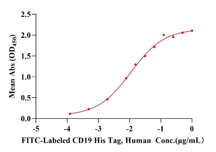 FITC-Labeled CD19 His Tag Protein, Human