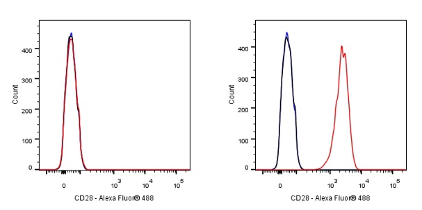 Goat Anti-Mouse IgG (H+L), F(ab')2 Fragment (Alexa Fluor® 488 Conjugate)
