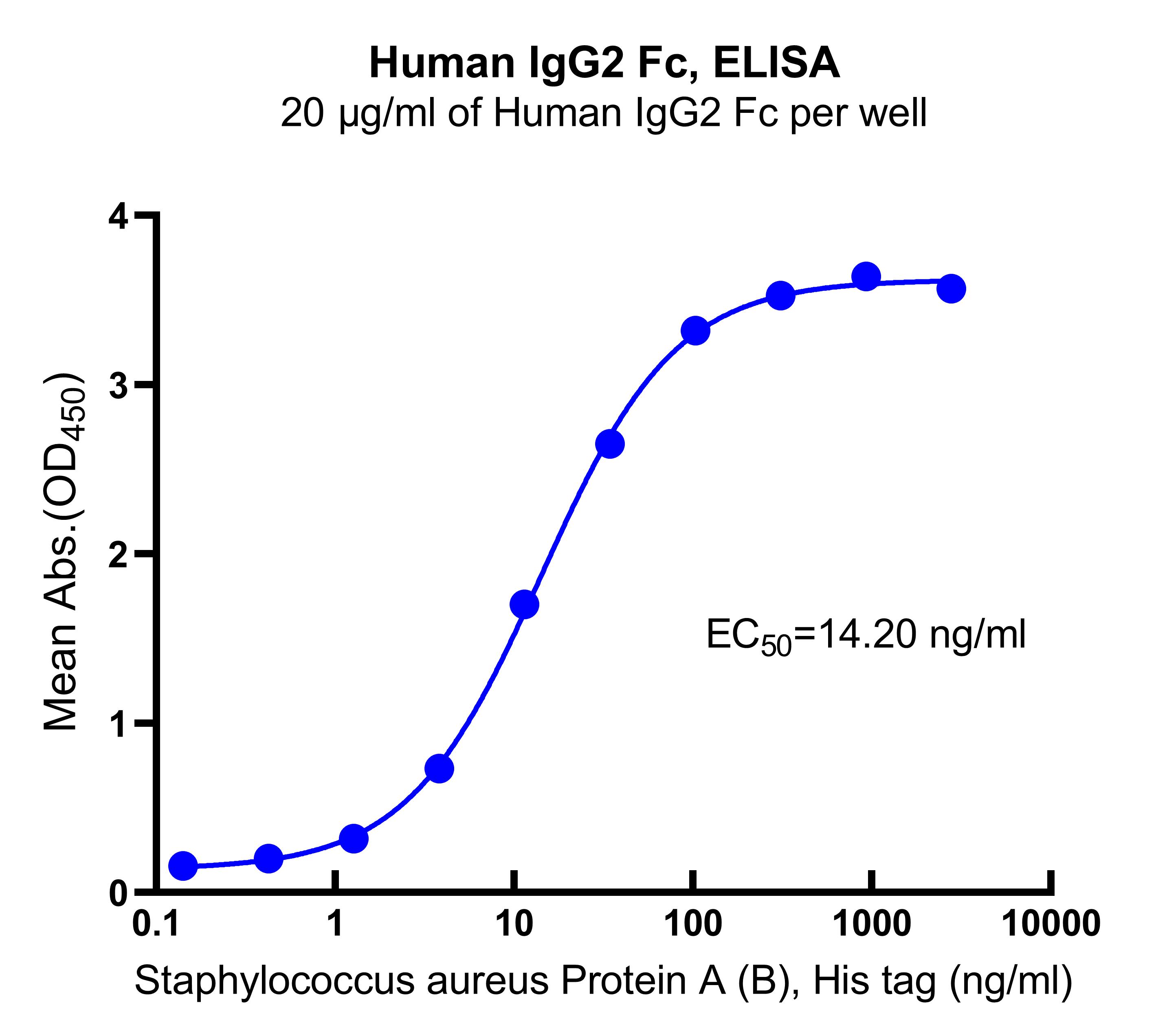 Human IgG2 Fc