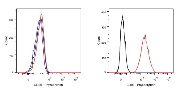 PE Rabbit Anti-Human CD80 Antibody (S-288-177)