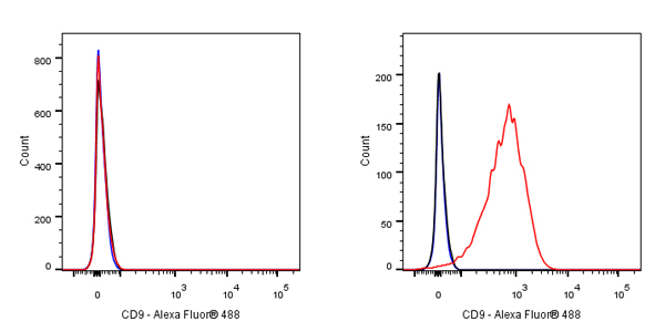 CD9 Mouse mAb (S-632-33)