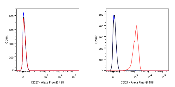 CD27 Mouse mAb (S-568-2)