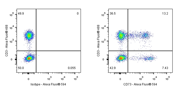 Alexa Fluor® 594 Mouse Anti-Human CD73 Antibody (S-715-115)