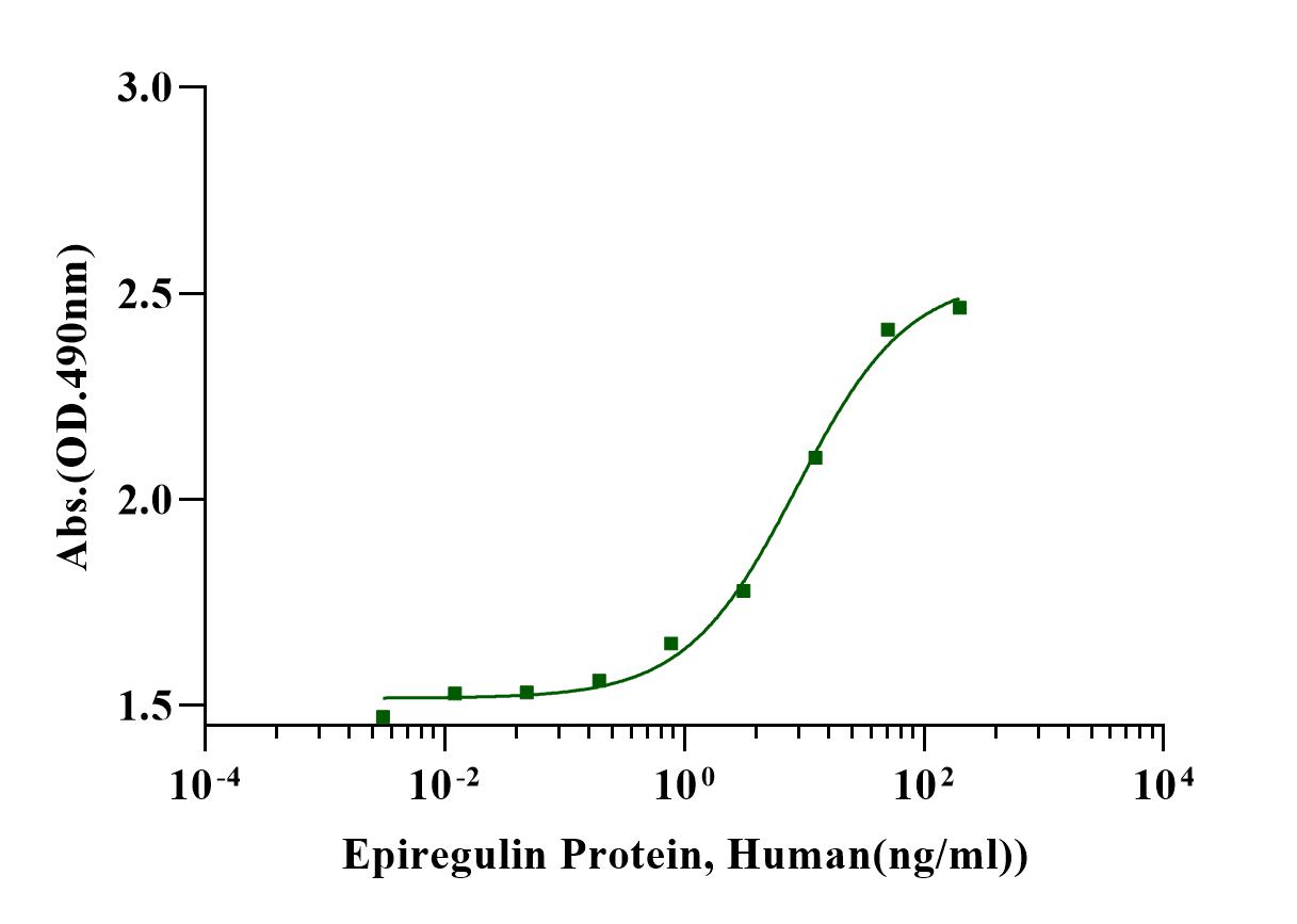 Epiregulin Protein, Human