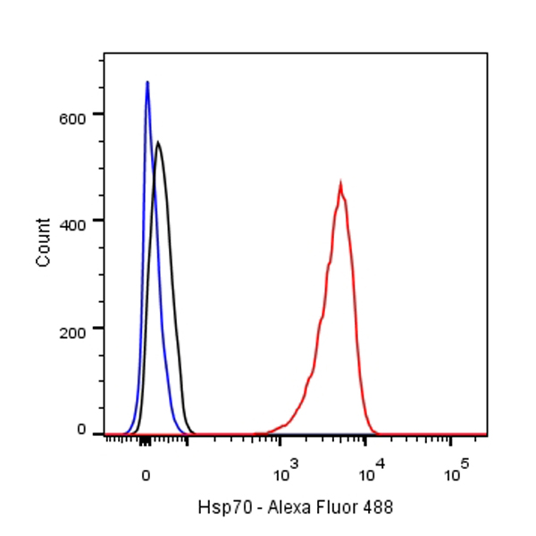 S-RMab® Hsp70 Recombinant Rabbit mAb (SDT-R016)
