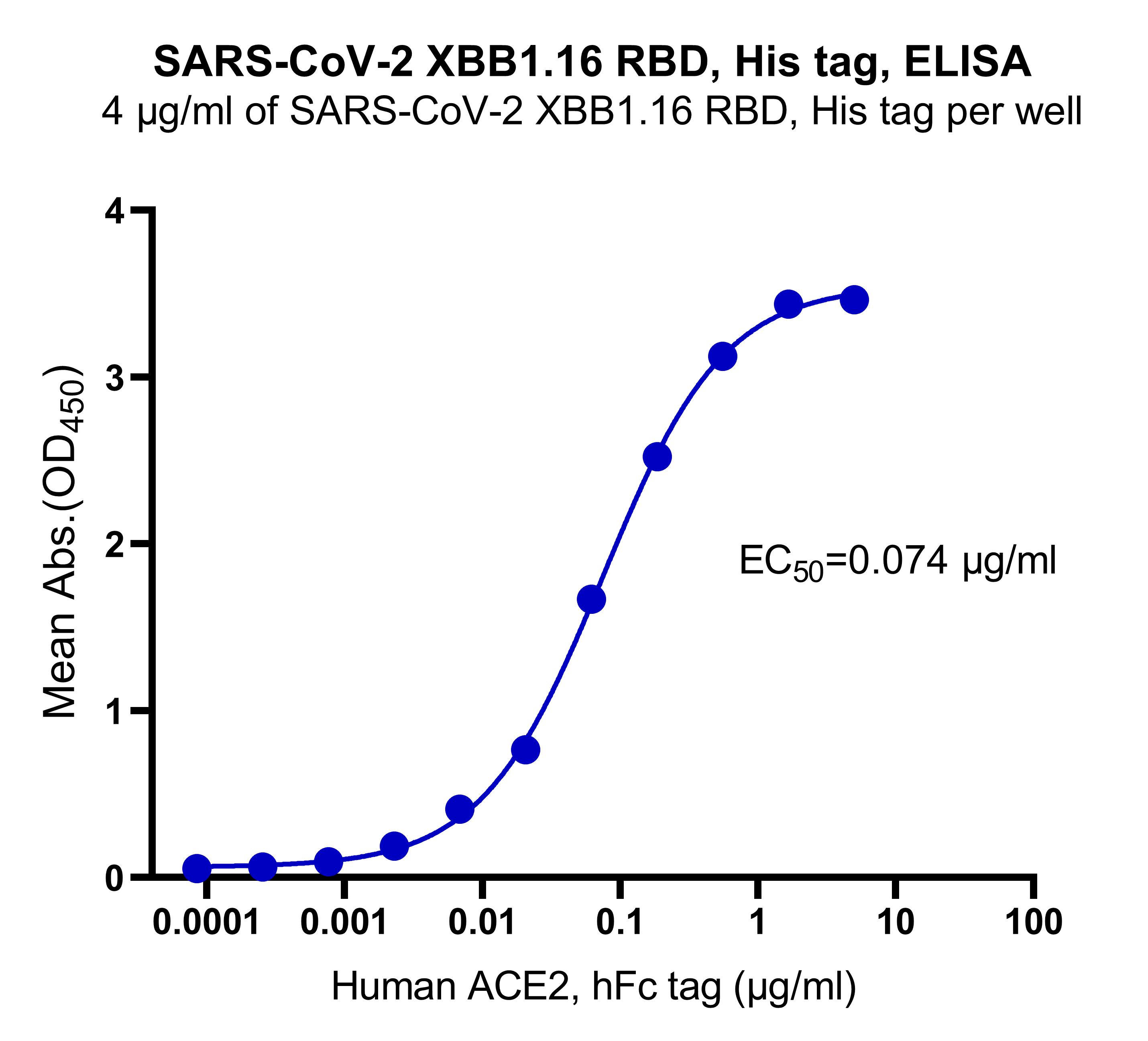 SARS-CoV-2 XBB1.16 RBD, His tag