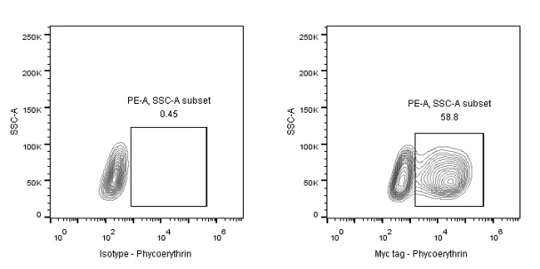 Myc tag Recombinant Rabbit mAb (PE Conjugate) (S-114-13)