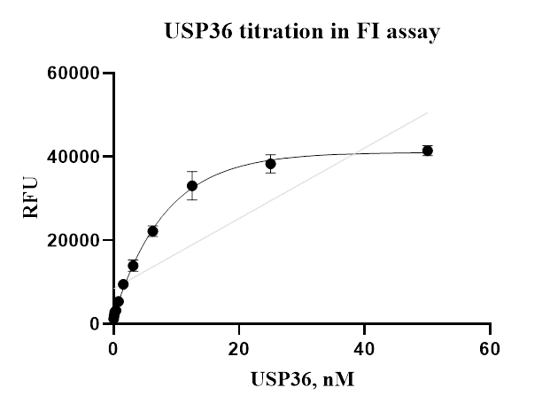USP36 Protein