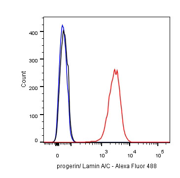 Lamin A/C  Recombinant Rabbit mAb (SDT-R041)