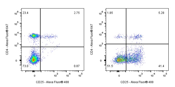 Rat Anti-Mouse CD25 Antibody (S-R441)