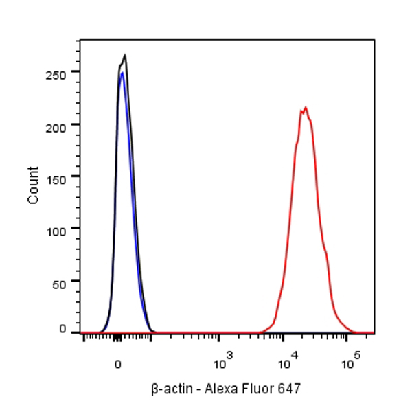 β-actin Recombinant Rabbit mAb (Alexa Fluor® 647 Conjugate) (SDT-R015)