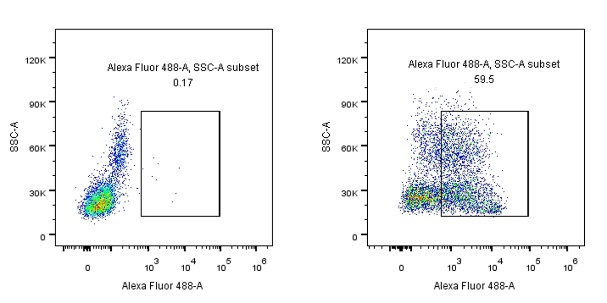 CD45RA Recombinant Mouse mAb (S-R377)