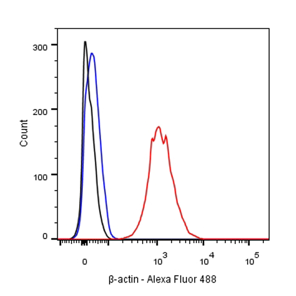 β-actin Recombinant Rabbit mAb (Alexa Fluor® 488 Conjugate) (SDT-R015)