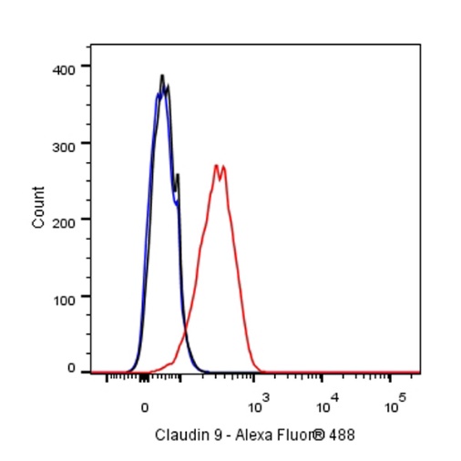 Claudin 3+Claudin 9 Recombinant Rabbit mAb (SDT-1452-69)